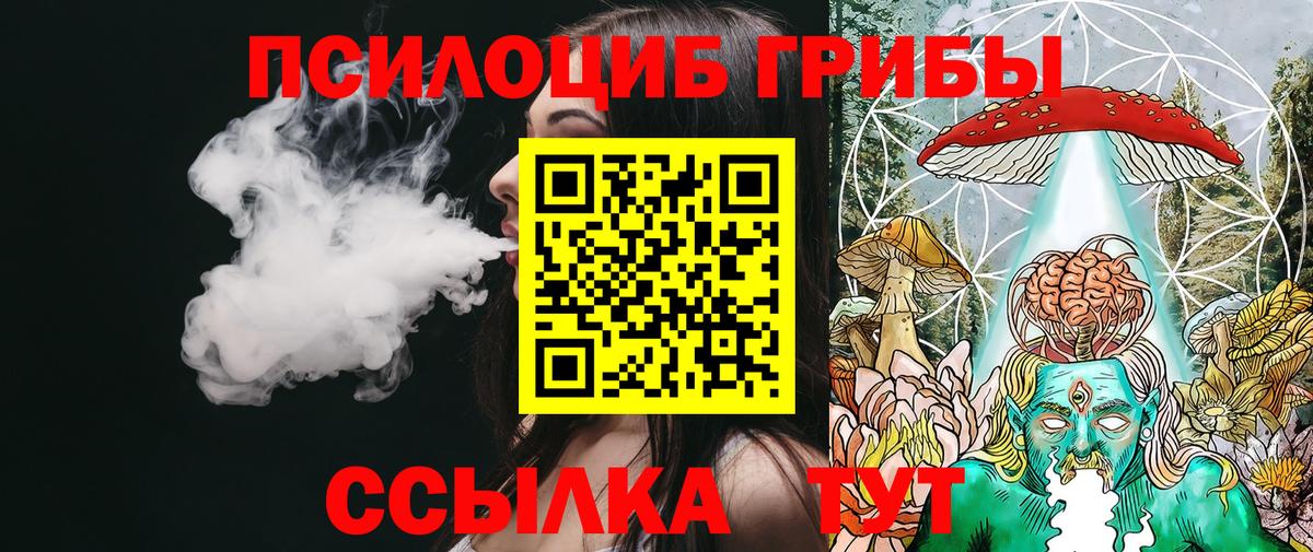 Сергиев Посад  Галлюциногенные грибы Magic Shrooms  Вход с VPN 