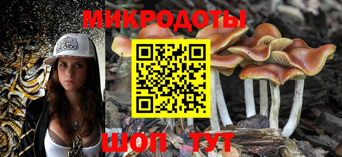 Псилоцибиновые грибы Psilocybe Сергиев Посад